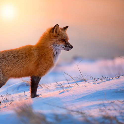 Soaking Up the Rays
