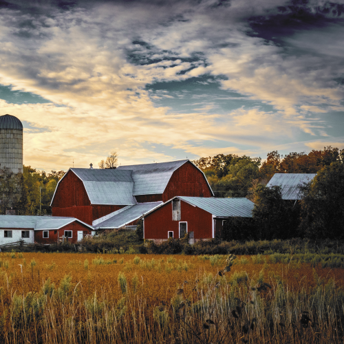Farm Life