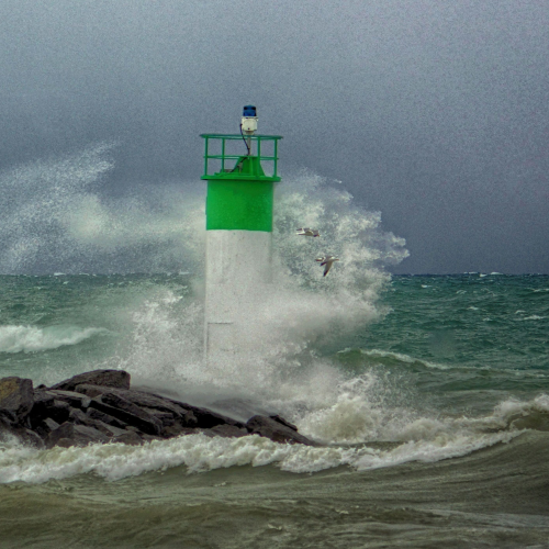 Crazy wild wind 