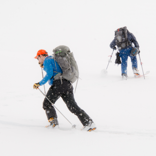 Snowy Uptrack