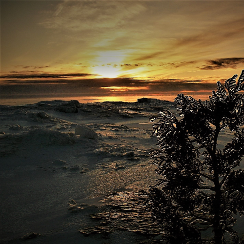 nice ice