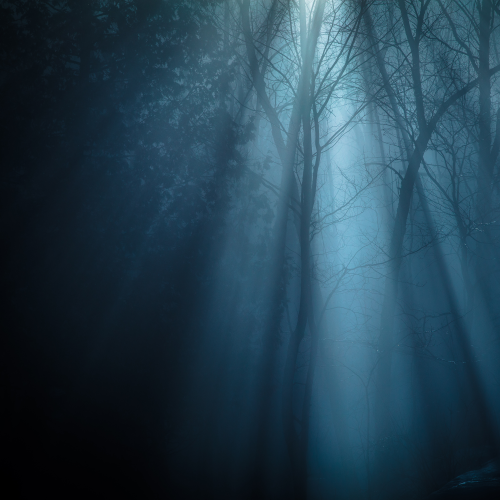 Foggy night 