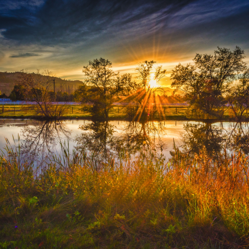 Evening Rays