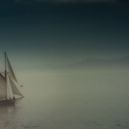 Wind & Sail