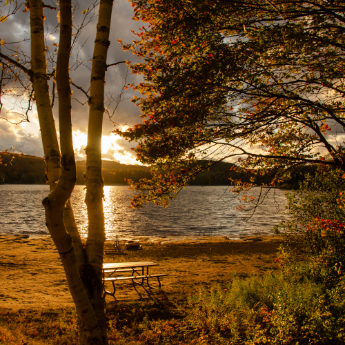 Autumn Sunset