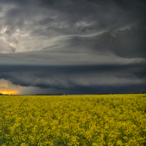 Canadian Prairie Summer Storm