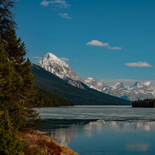 Maligne Lake Spring 2