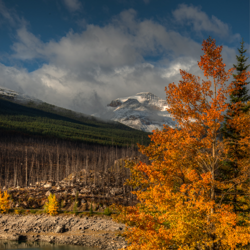 Medicine Lake Fall 2