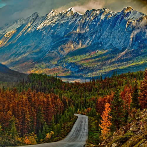 Maligne Lake Road 1