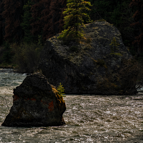 Maligne River 1