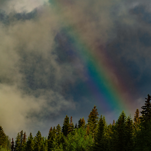 Summer Storm 1