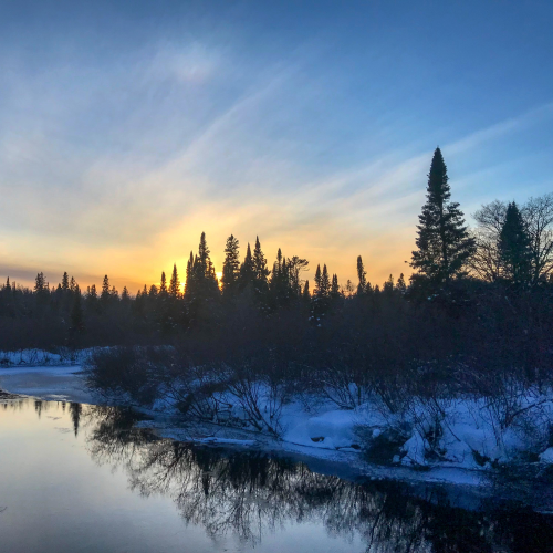 Algonquin Wonderland