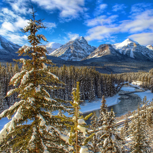 Winter's Day At Morant's Curve