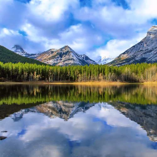Wedge Pond Reflections