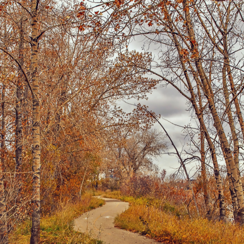 Moody Fall Pathway