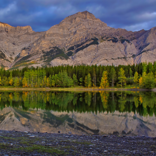 Wedge Pond Reflections