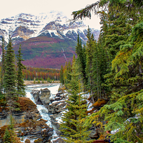 Bright And White Athabasca Falls