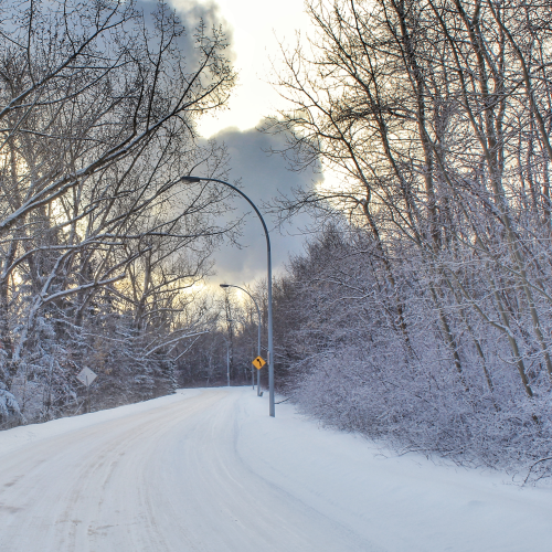 Snowy Country Roads