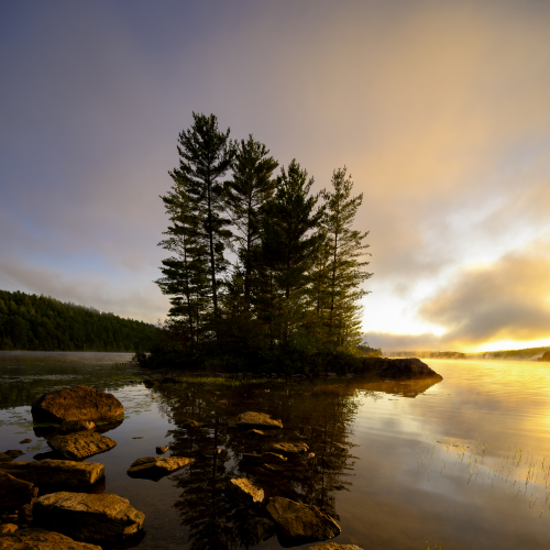Canadian Dream