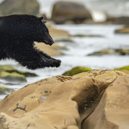 I believe I can fly 
