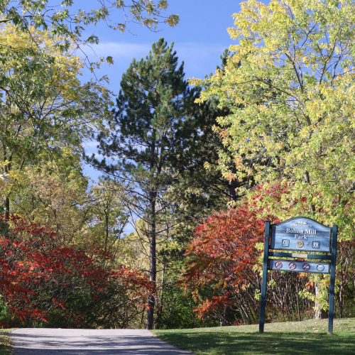 Fall colours along the Humber River, Mill Park, Bolton, Ontario