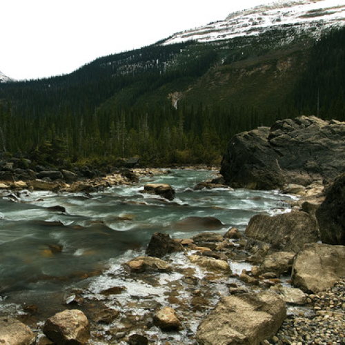 A stream