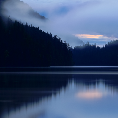 Blue hour mist