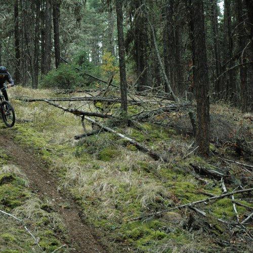 Loam Chasers