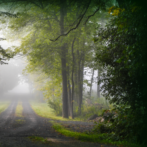 Highway To Heaven