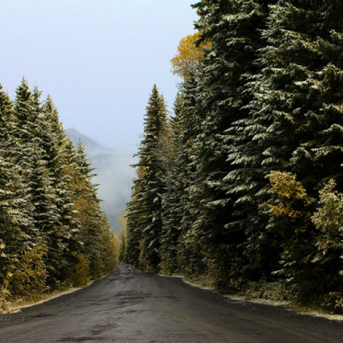 way to beauty