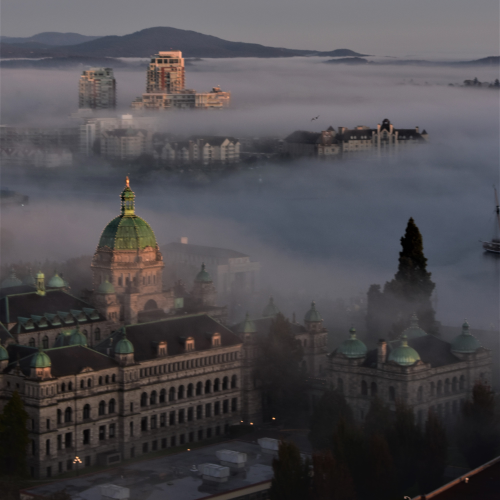 Foggy Legislature 