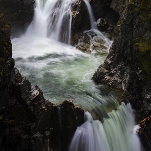 Go With The Flow