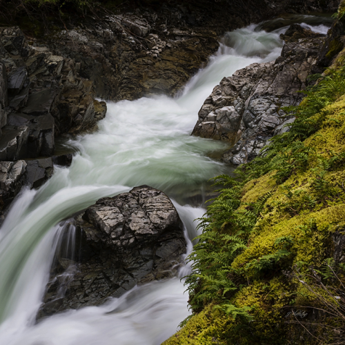 A River Runs Through It