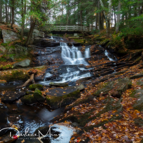 Autumnal Potts Falls
