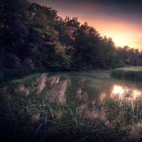 Summer's End
