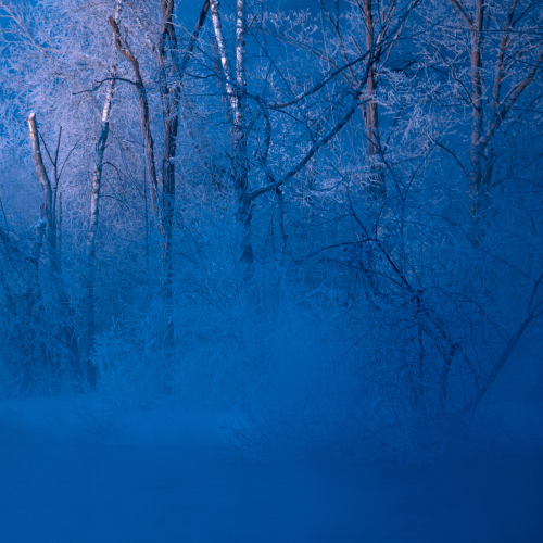 - 40 C