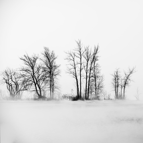 Lost into the mist