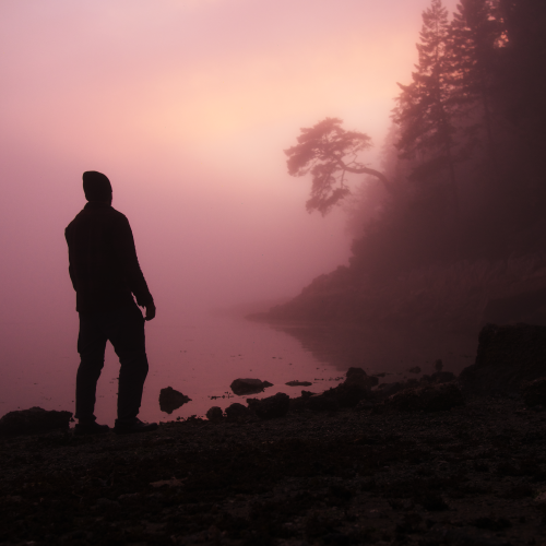 Sunset in the Mist 