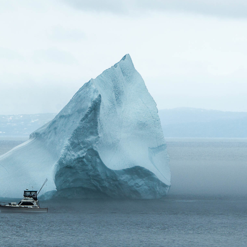 Bacon Cove Iceberg