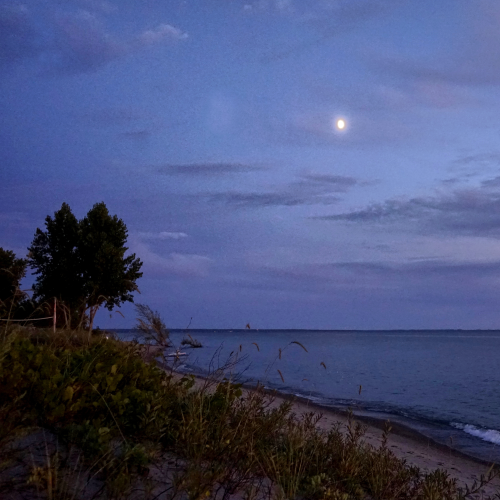 Moonrise with Sunset