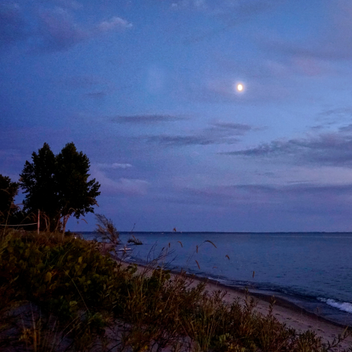 Moonrise with Sunset