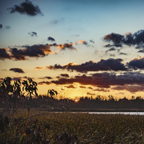 Marsh Sunset