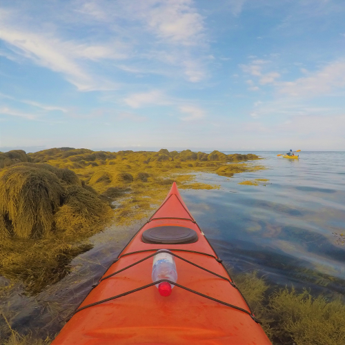 Kayaking the vast Atlantic
