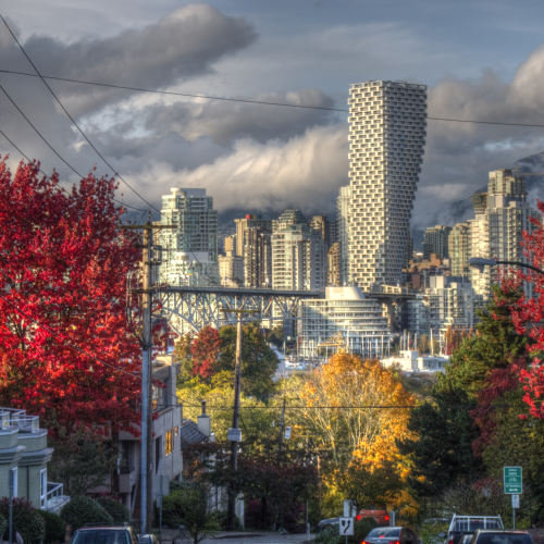 Fall colours from Fairview