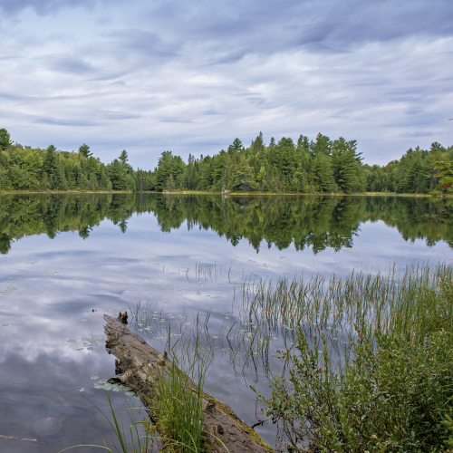 Peck Lake