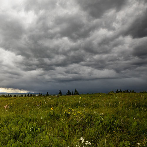 The Thunder Rolls