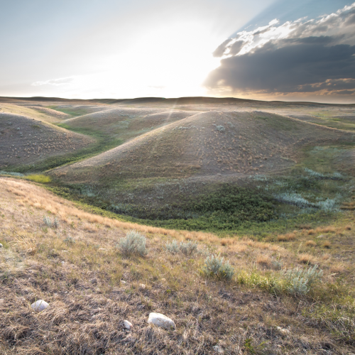 Golden Hills at Golden Hour