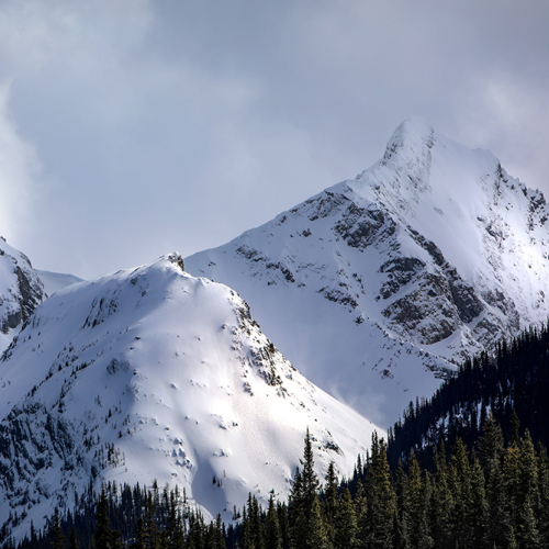 Pristine Peaks