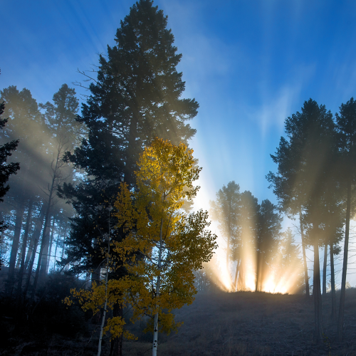 good morning sunshine!
