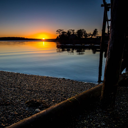Harbour Sunset